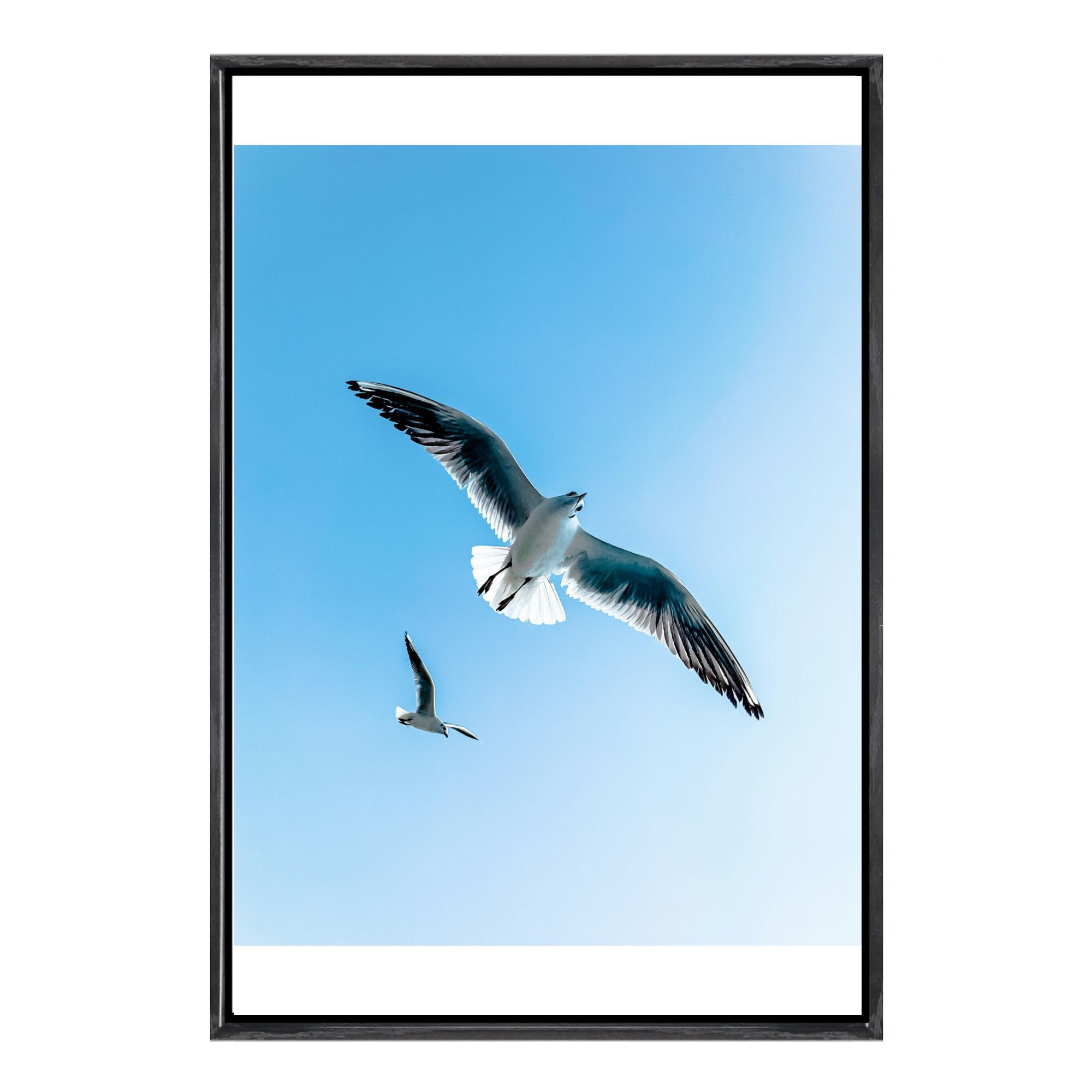 Home Decor Mirror - Seagull Canvas Framed Wall Art Coastal