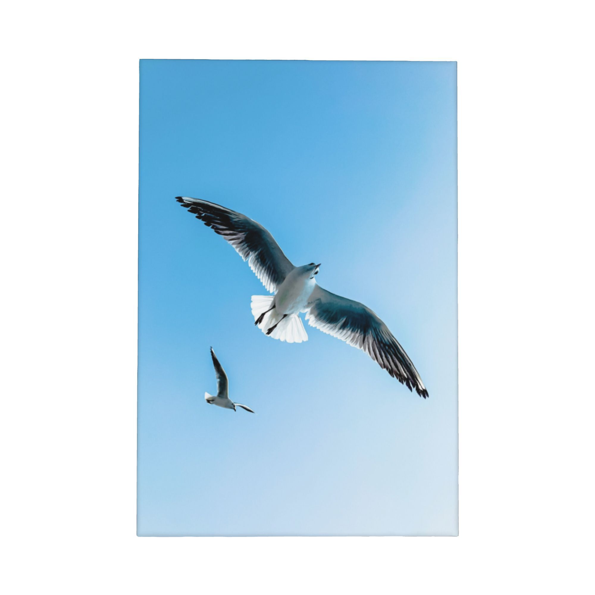 Seagull Canvas Framed Wall Art – обзор и цена Home Decor Mirror