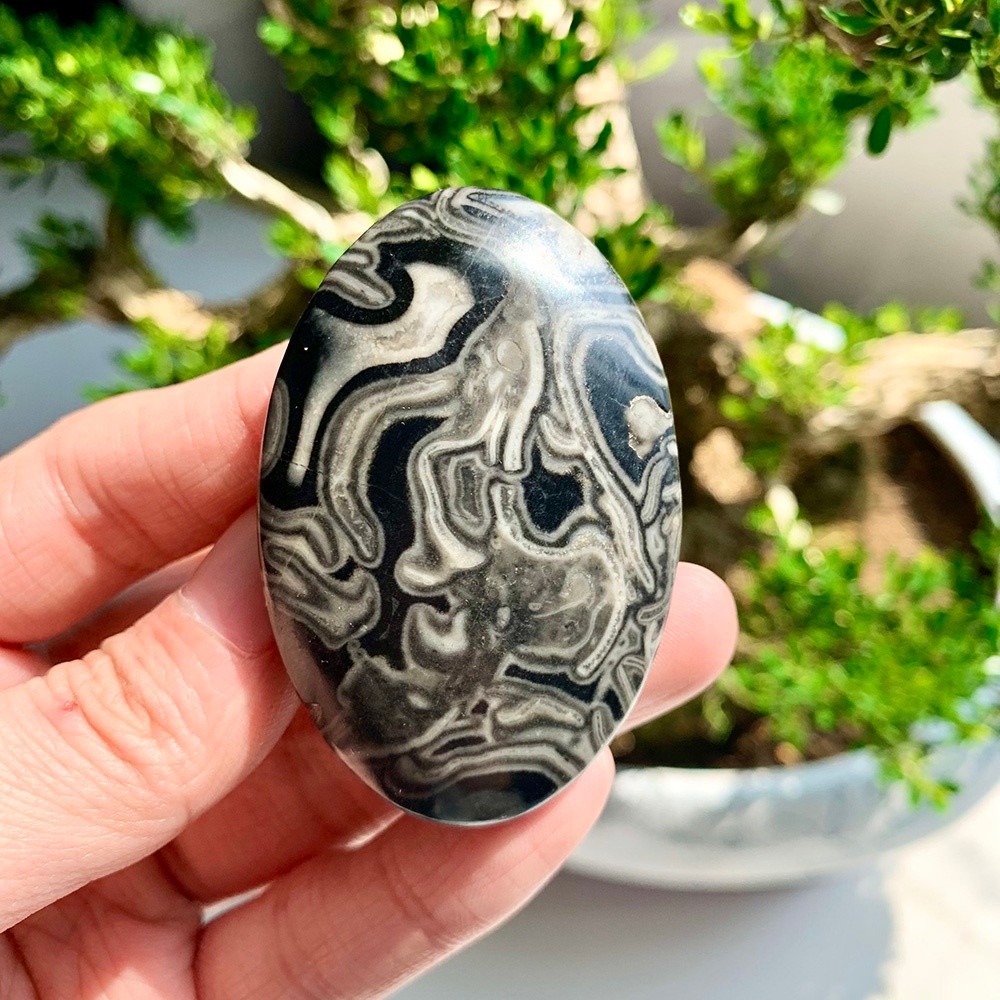 Wholesale Black Crazy Agate Pl – обзор и цена Home Decor Brand
