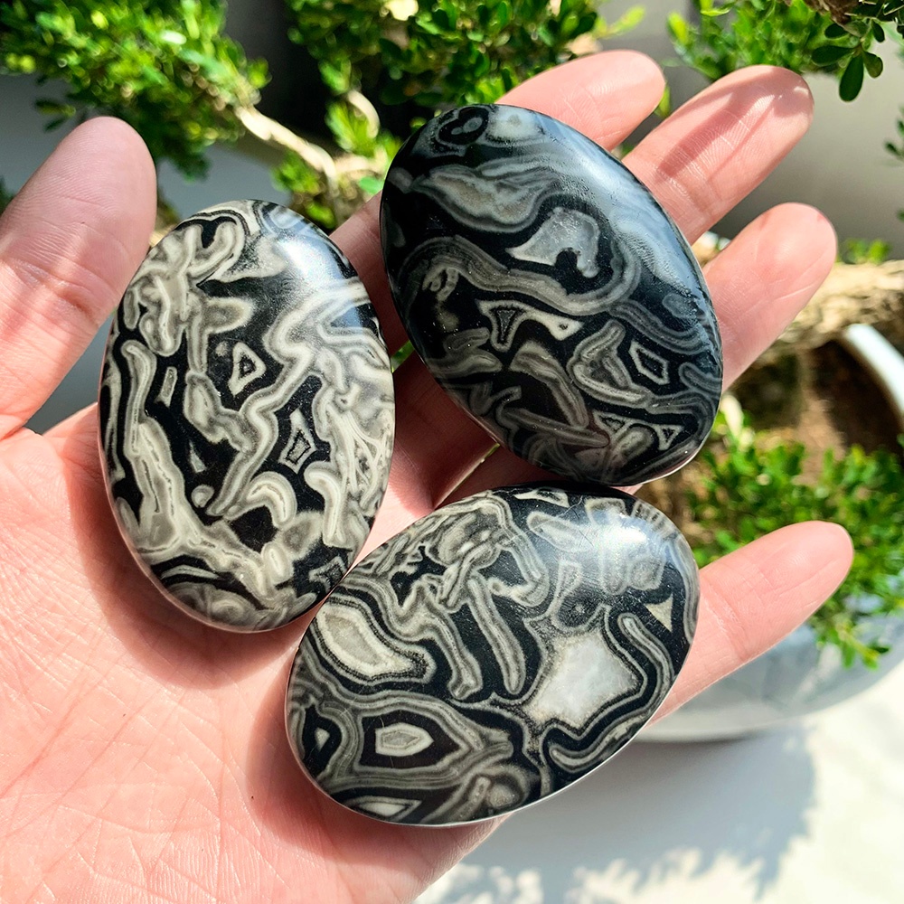 Wholesale Black Crazy Agate Pl – обзор и цена Home Decor Brand