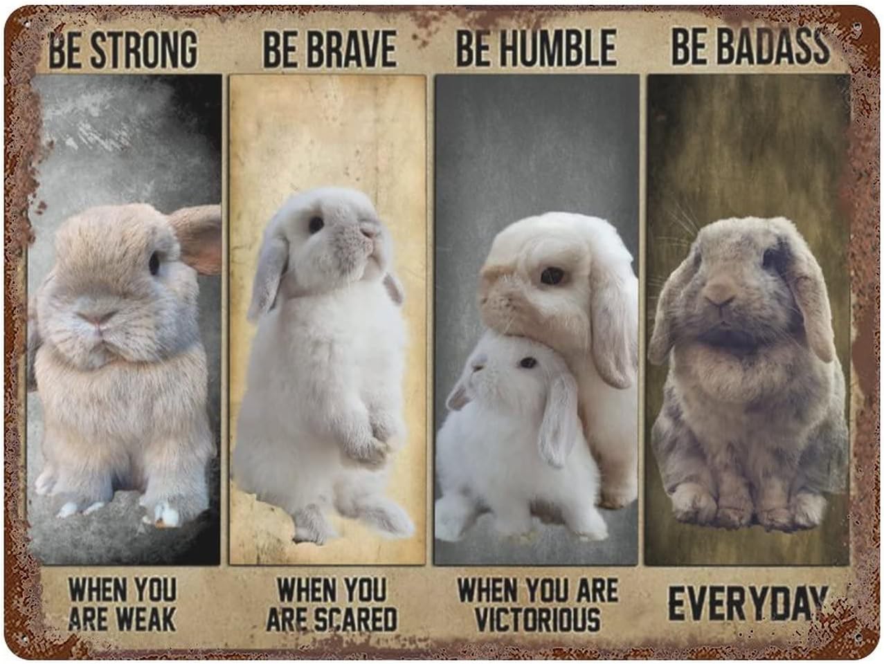 Vintage Wall Decor Bunny Rabbi – обзор и цена Home Decor Quotes
