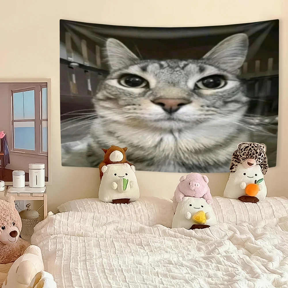 Funny Cat Meme Tapestry, Kawai – обзор и цена Aesthetic Tapestry