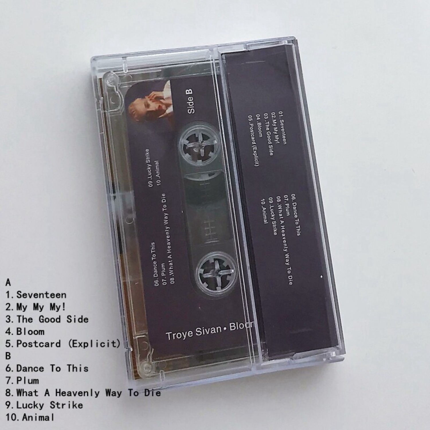 Rare Sealed Troye Sivan Bloom  – обзор и цена Home Decor Retro